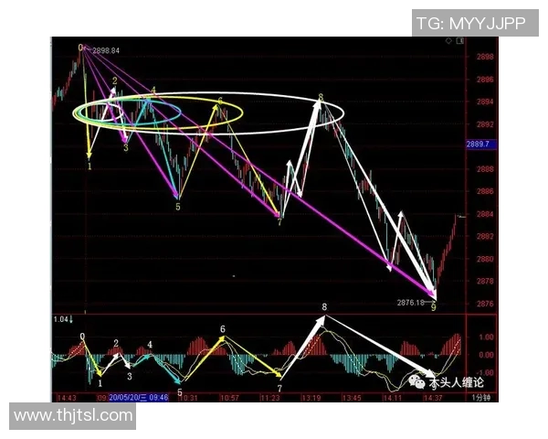 上海排球队包夹战术深度解析与实战应用探讨 上海排球队包夹战术深度解析与实战应用探讨