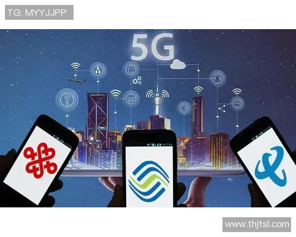 南京飞盘队的成功运营策略与发展模式深度分析 南京飞盘队的成功运营策略与发展模式深度分析